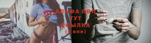 СК Волоколамск